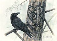 Raven's Shadow